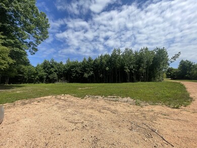 878 Buffalo Bottom Rd, Linden, TN 37096 - photo 4