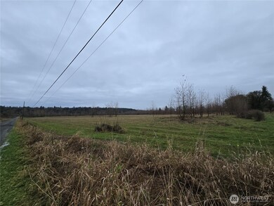 255 XX NE 138th St, Duvall, WA 98019 - photo 5