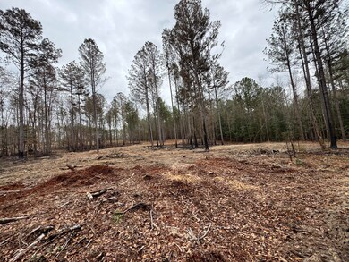 3479 Bastonville Rd, Gibson, GA 30810 - photo 5