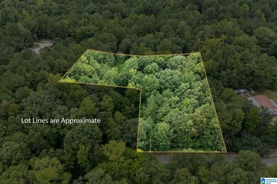 0 Penny Ln unit 21427542, Odenville, AL 35120 - photo 7