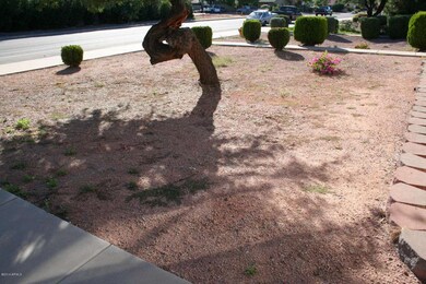 front yard (shared)