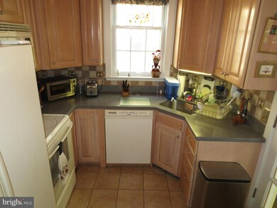 19 Sherman Ave, Takoma Park, MD 20912 - photo 5