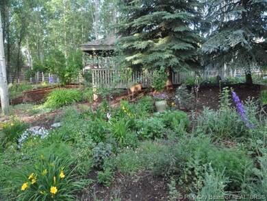 Yard/Garden.