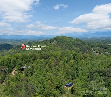 83 Mount Airy Rd, Marshall, NC 28753 - photo 5