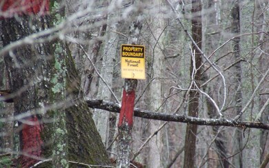 454 Beaver's Cove, Morganton, GA 30560 - photo 2