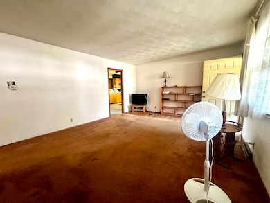 540 E Glenwood St, Springfield, MO 65807 - photo 6