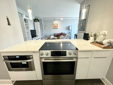 Bryant House unit 1504B, Chicago, IL 60610 - photo 4