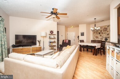 2406 Chestnut Terrace Ct unit 102, Odenton, MD 21113 - photo 3