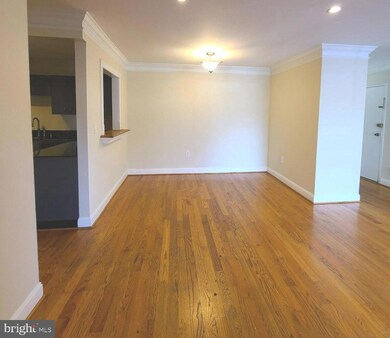 10723 West Dr unit 101, Fairfax, VA 22030 - photo 5
