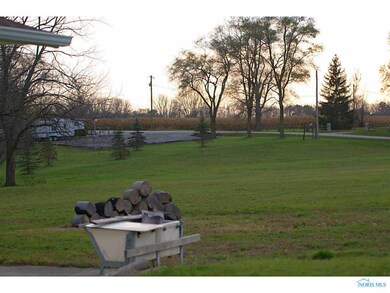 Yard/Garden.
