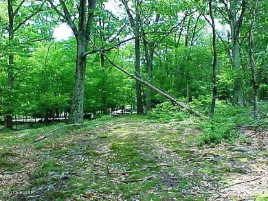 0 E Shore Dr, Lords Valley, PA 18428 - photo 4