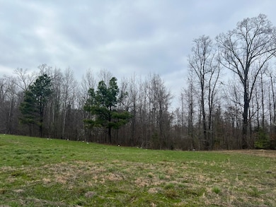 View of nature with a view of trees