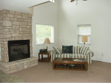 171 Elm Point Ln, Kimberling City, MO 65686 - photo 5