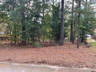 5716 Fern Cove Terrace, Tyler, TX 75703 - photo 3