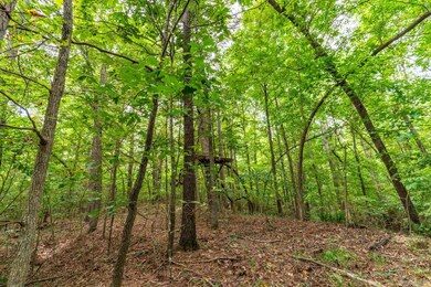 200 Acres Greene 718 and 707 Rd, Paragould, AR 72450 - photo 6