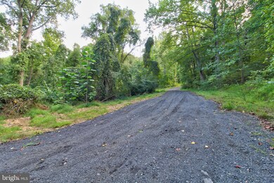 0 Old Ski Lodge Ln unit VARP2001236, Washington, VA 22747 - photo 4