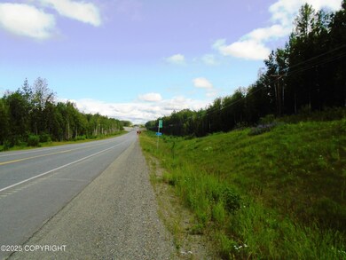 Parks Hwy