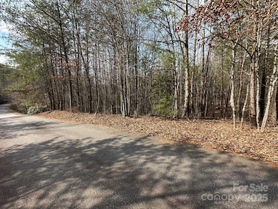 0 Sunshine Acres unit CAR4228639, Sylva, NC 28779 - photo 2