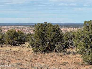 Lot 62 Sierra Highlands Ranch -- unit 62, Saint Johns, AZ 85936 - photo 6