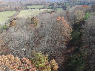 6310 Hwy 200, Monticello, KY 42633 - photo 7