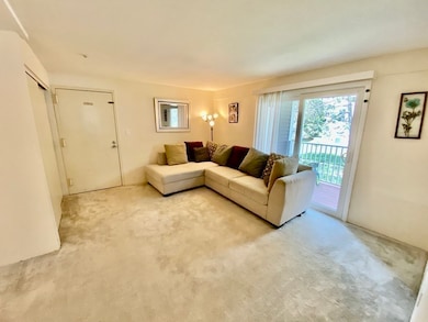 5 Post Oak Ln unit 20, Natick, MA 01760 - photo 4