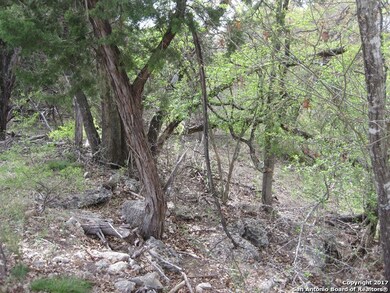 8219 San Fidel Way, Cross Mountain, TX 78255 - photo 6