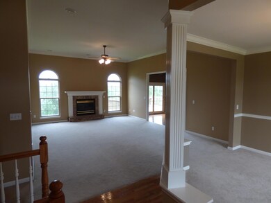 entry view