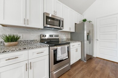 3019 Brazos River Dr, Granbury, TX 76048 - photo 5