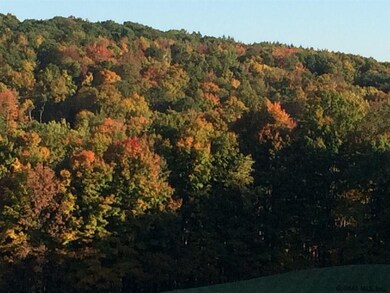 190 Bald Mountain Rd, Brunswick, NY 12180 - photo 2