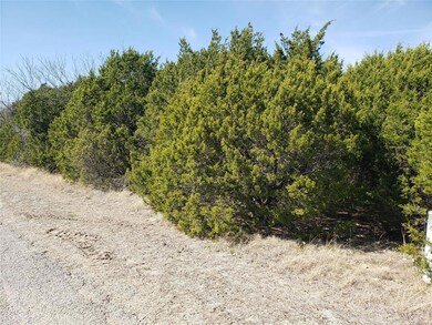 3005 Brazos River Dr, Granbury, TX 76048 - photo 4