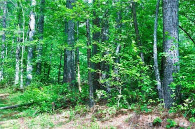 View of landscape with a wooded view