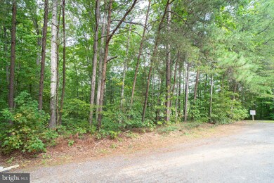 13 Merrimac Cove, Ruther Glen, VA 22546 - photo 5