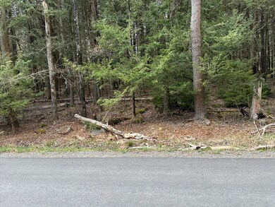 170 / 171 Sir Gawain Ct, Pocono Lake, PA 18347 - photo 5