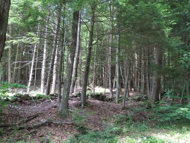 8-1-B Butterfield Hill Rd, Westmoreland, NH 03467 - photo 3