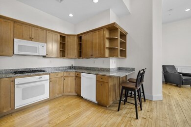 110 O St unit 8, Boston, MA 02127 - photo 3