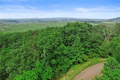 7345 Skyline Dr, Jasper, GA 30143 - photo 3