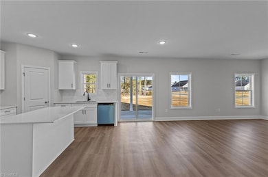 407 Pinnacle Dr, Randleman, NC 27317 - photo 3