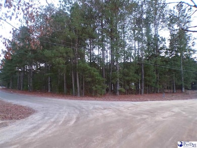 TBD New Holly & Millwood, Dillon, SC 29536 - photo 3