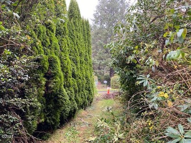 View from the cottage to street