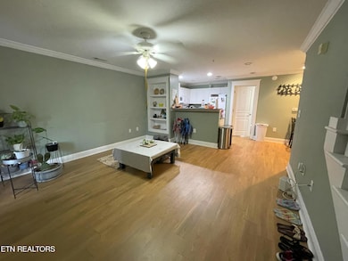 Living Room1