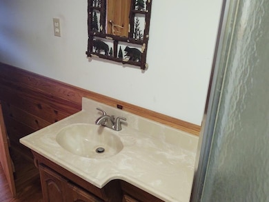 7039 River Bend Dr, Onaway, MI 49765 - photo 6