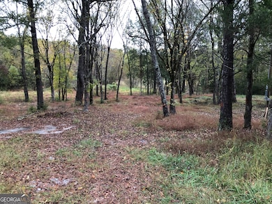 34 Hudson Loop Rd, Aragon, GA 30104 - photo 6