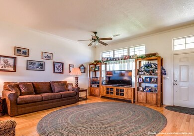 743 E Parks St, Prairie Grove, AR 72753 - photo 4