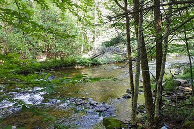 4032 Walker Mountain Rd, West Rutland, VT 05777 - photo 6