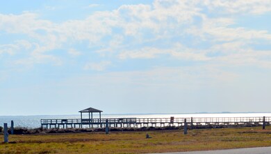 DSC_0156