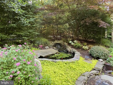 5324 Black Oak Dr, Fairfax, VA 22032 - photo 5