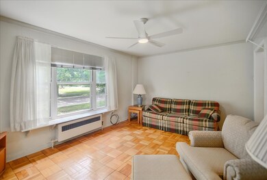 1510 S Race St unit 2, Urbana, IL 61801 - photo 6