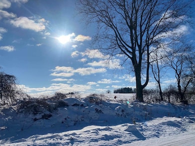 9326 Wilrich St, Middleton, WI 53562 - photo 5