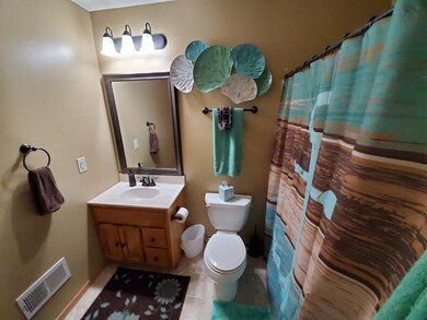 Lower level full bath