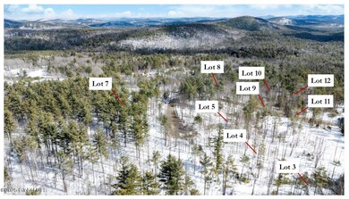 L89 Highview Ln unit Lot 5, Wevertown, NY 12886 - photo 5